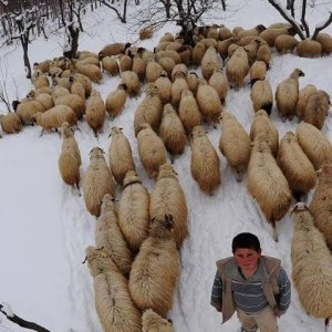 անունս յասին է